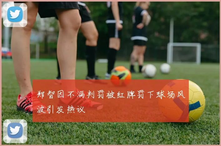 郑智因不满判罚被红牌罚下球场风波引发热议